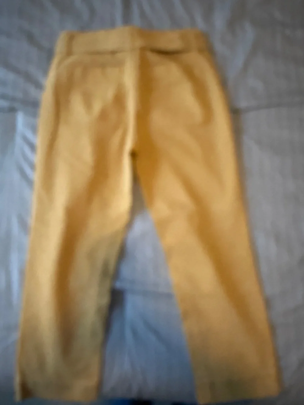 Loft Tie waist crop pants goldish - Picture 2 of 3